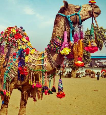 Best Time to Visit Rajasthan: Season-Wise Travel Guide