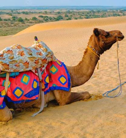 Rajasthan Private Tour by Car and Driver
