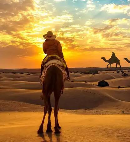 Exploring Rajasthan in Style: Traveling with a Hired Tempo