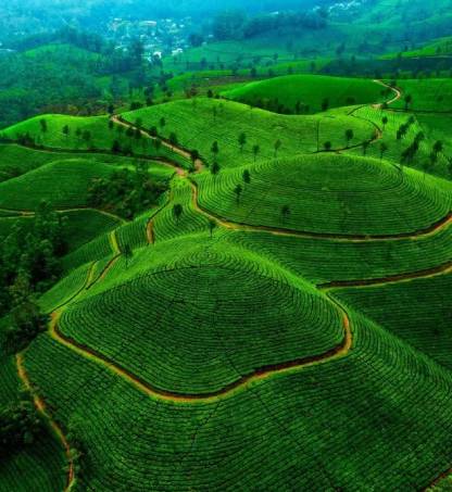 10 Hill Stations In India