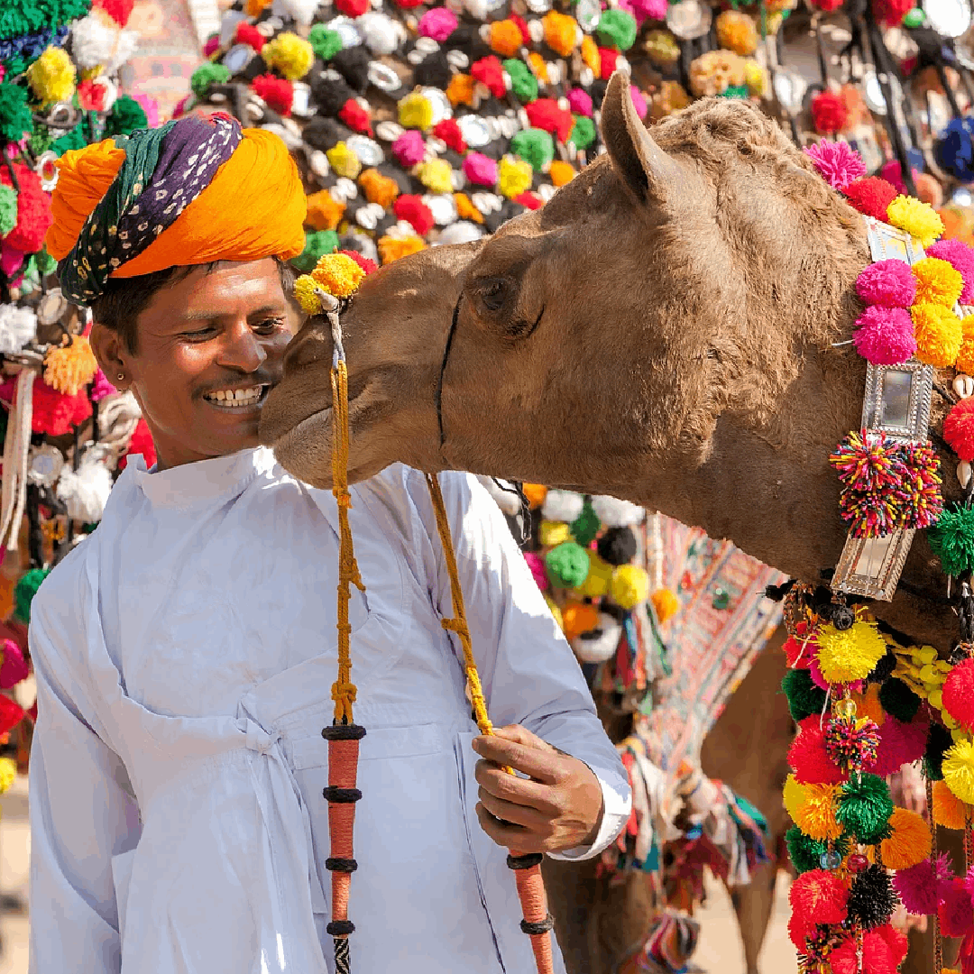 Pushkar Mela 2024: Everything You Need To Know