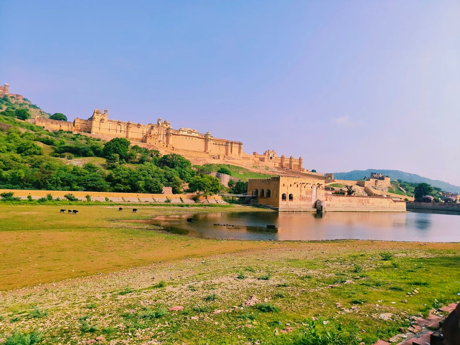 The Pink City Holidays Special Tours