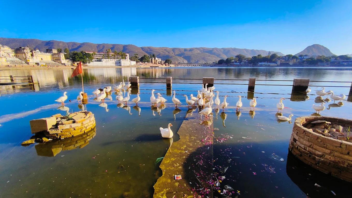 pushkar