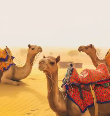 Private Golden Triangle Tour with Jodhpur