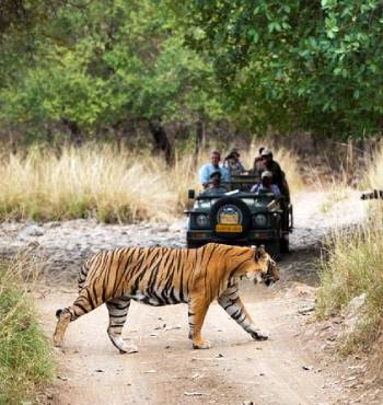 Rajasthan Student Group Tour 8 Days