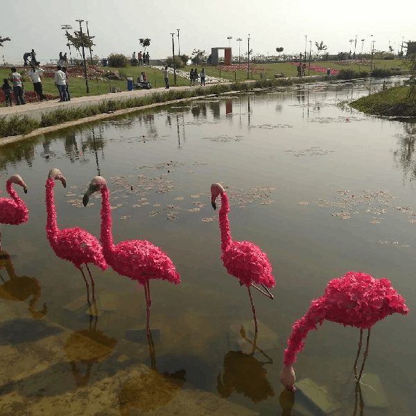Rajasthan Tour Packages from Ahmedabad