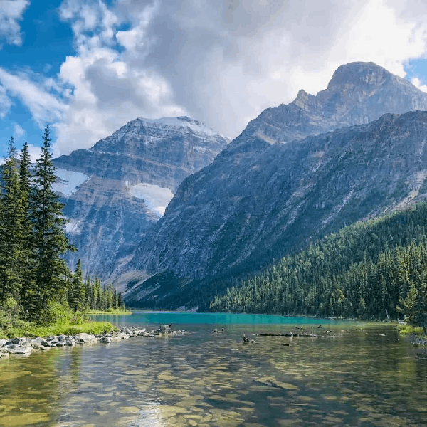 Himachal Tour 5 Days