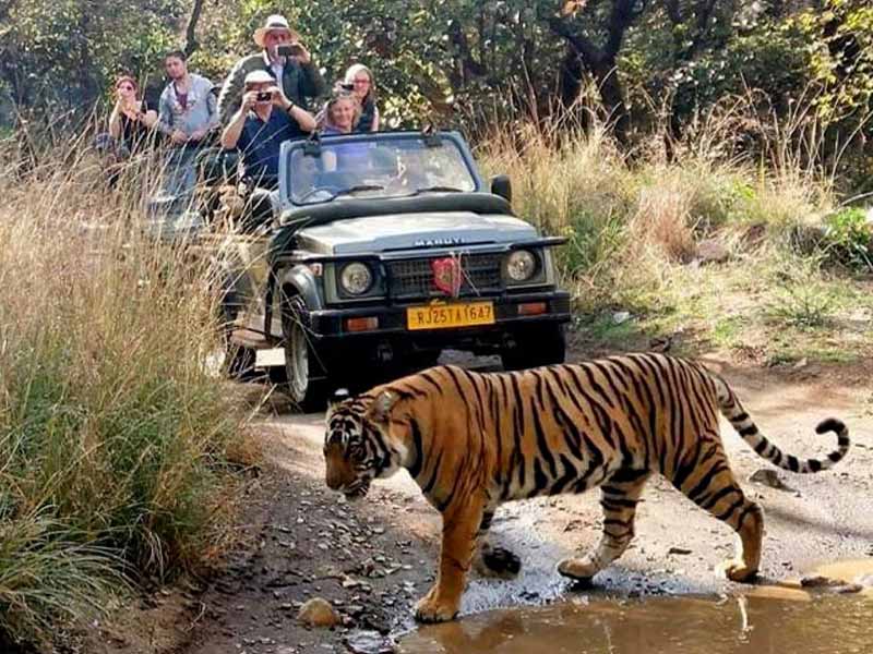 jaipur-to-ranthambore-cab