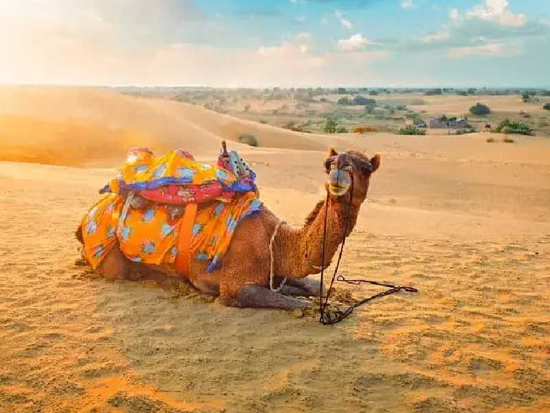 Jaisalmer-Tour-Package-4-Days