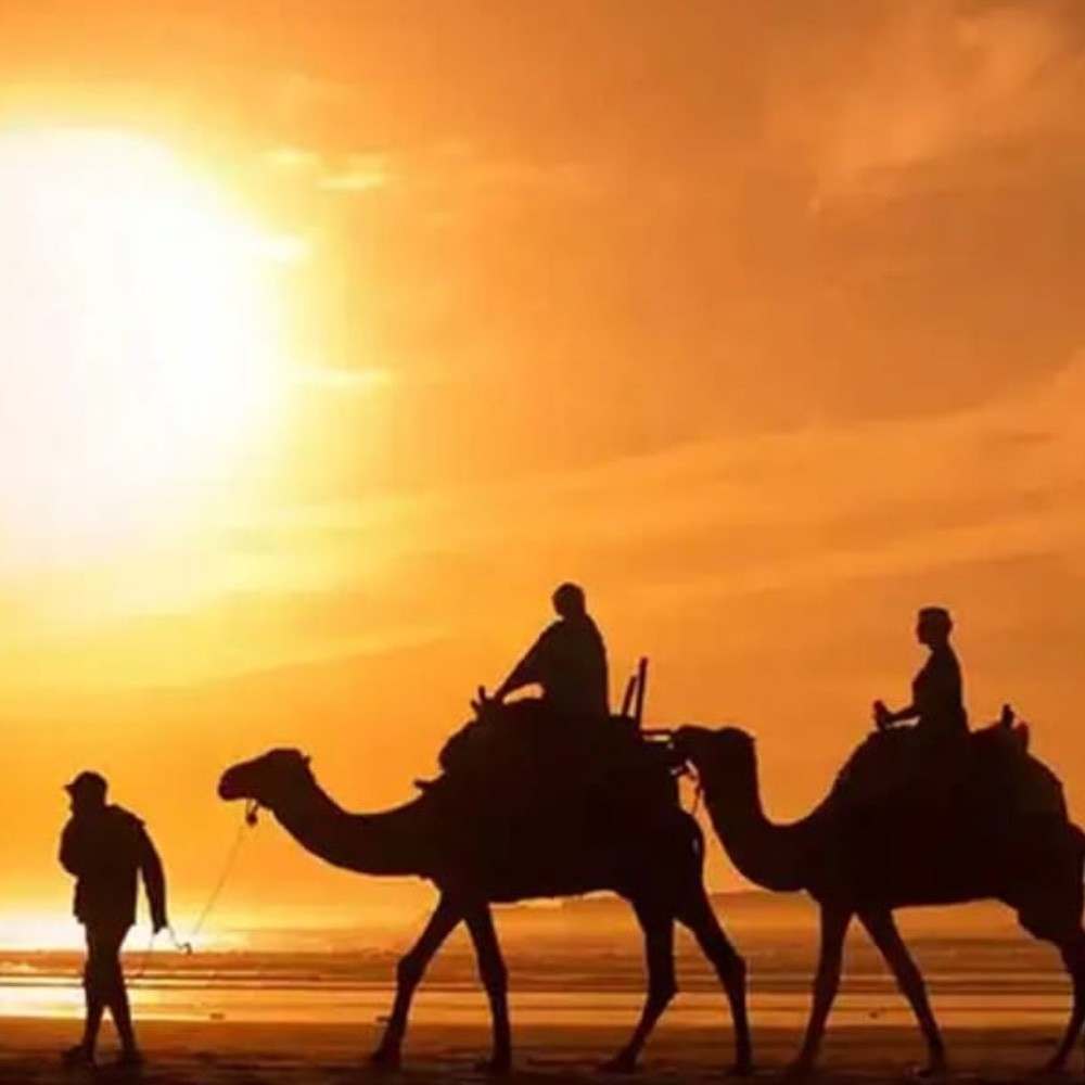 Desert Trio of Rajasthan 5 Days Tour