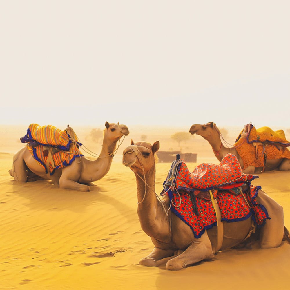 Rajasthan-desert1 Rajasthan-desert1