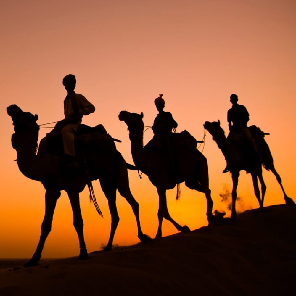 Rajasthan-desert2 Rajasthan-desert2