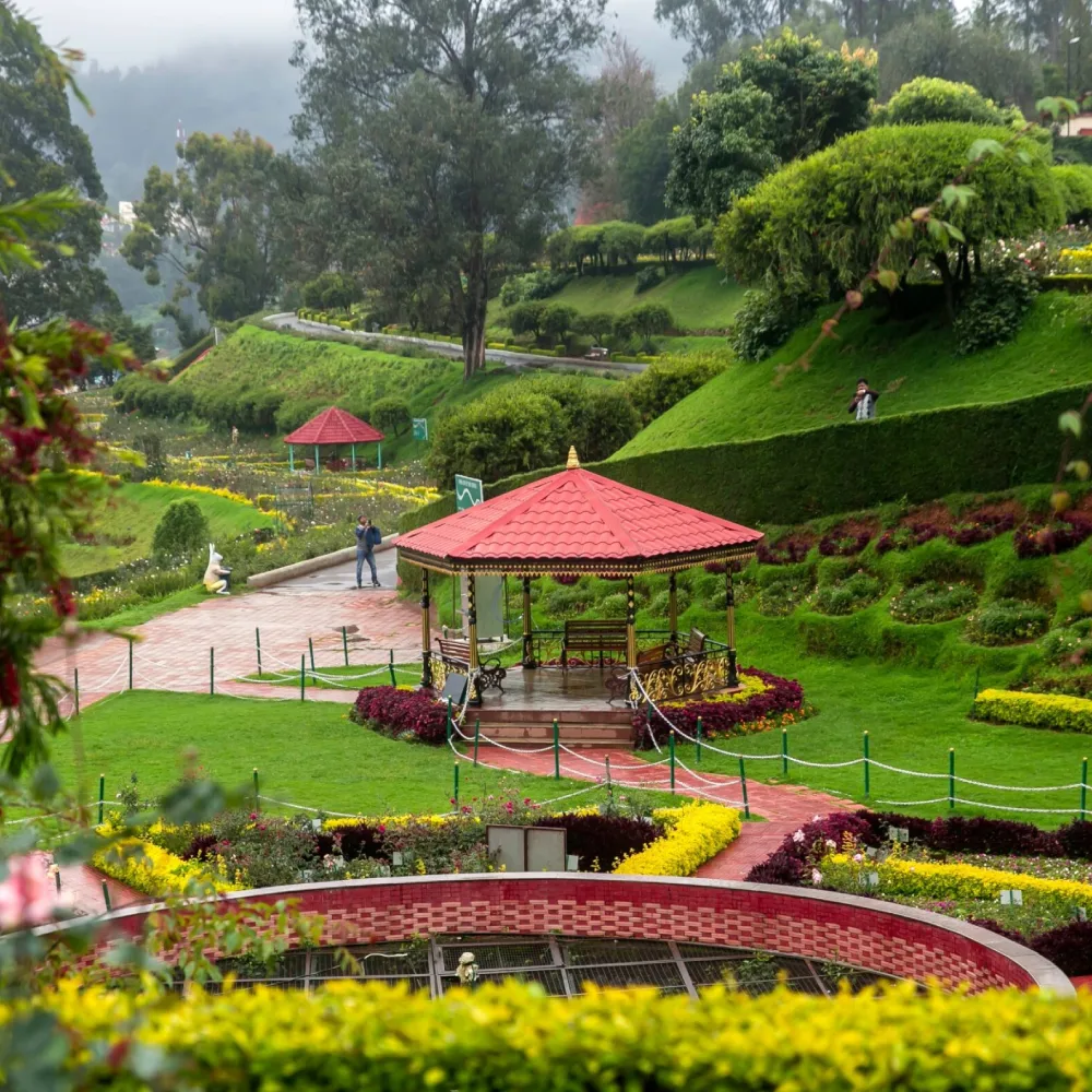 Ooty (1)