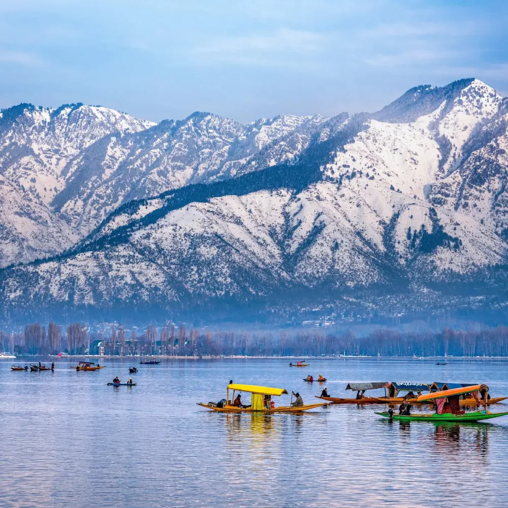 Srinagar