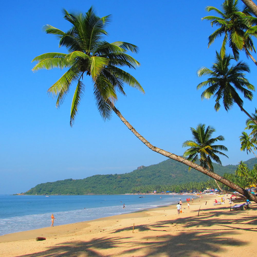 goa