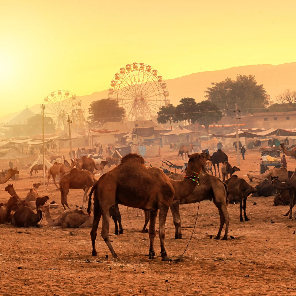 golden-triangle-9-days-private-tour