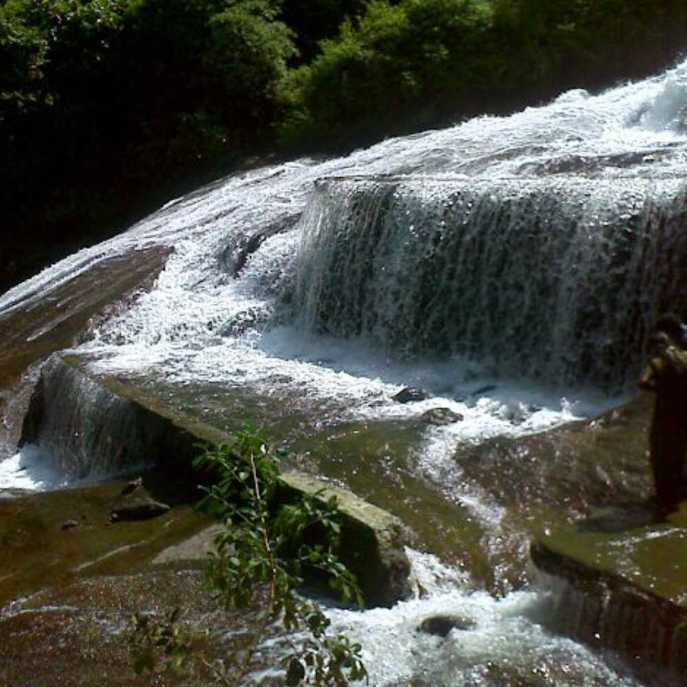 golden-triangle-packages-from-coimbatore golden-triangle-packages-from-coimbatore