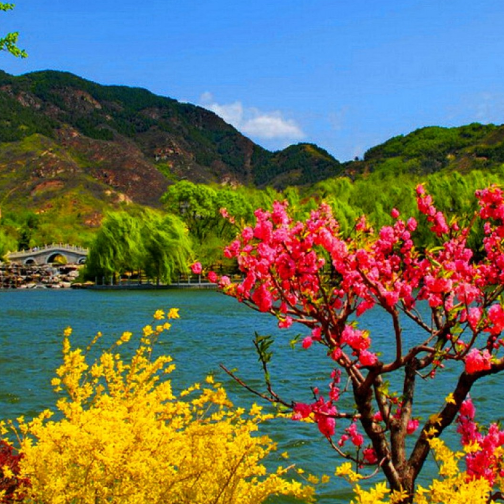 golden-triangle-packages-from-jammu (1) golden-triangle-packages-from-jammu (1)