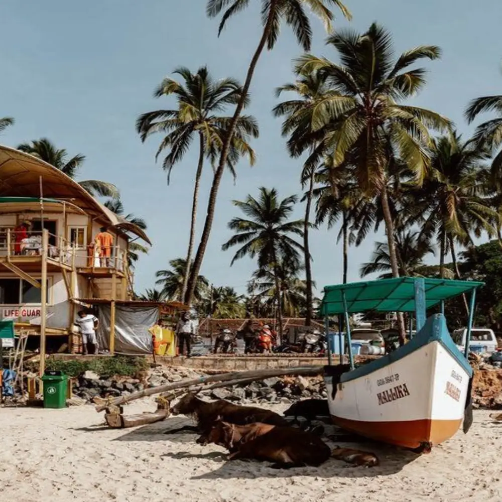 Private Golden Triangle Tour with Goa and Mumbai