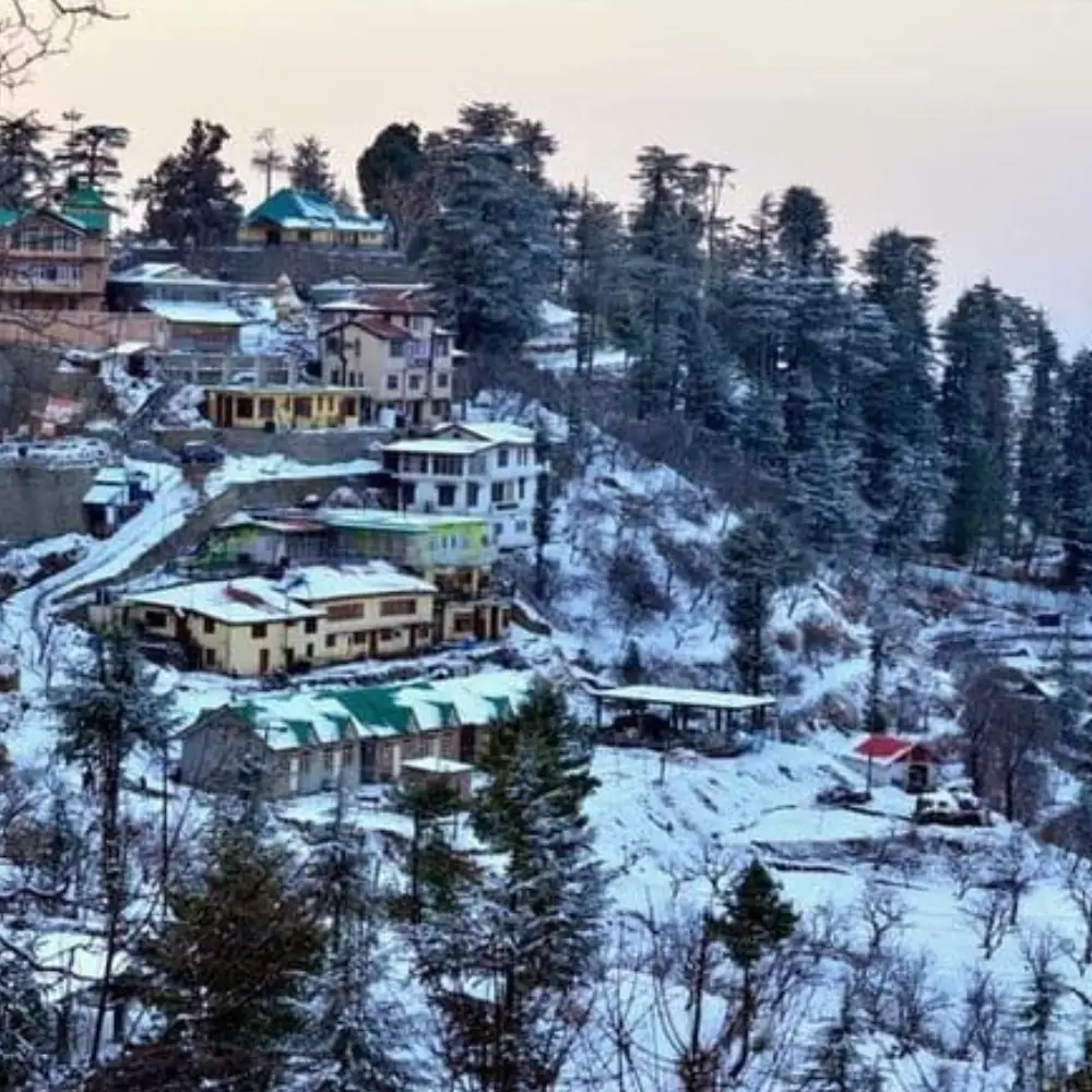 Private Golden Triangle Tour with Shimla & Manali