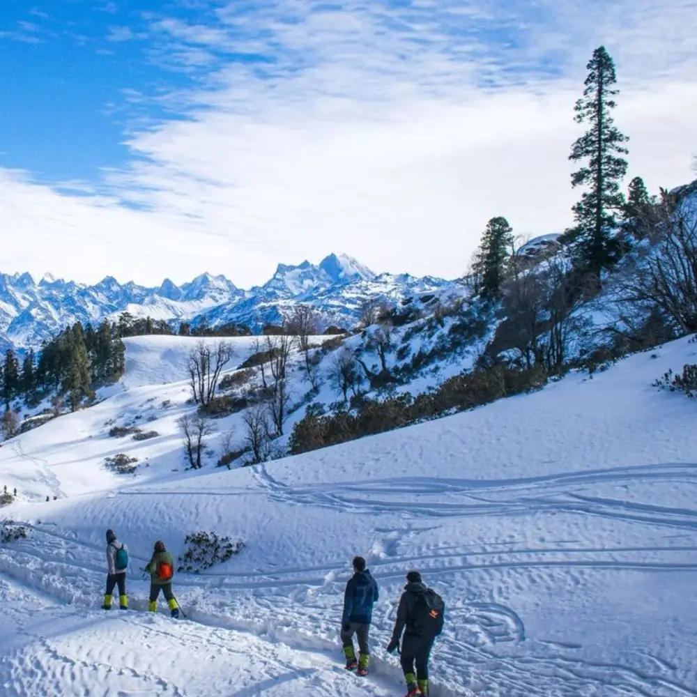 Private Golden Triangle Tour with Shimla & Manali