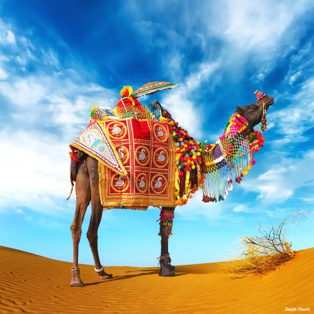 Rajasthan Desert Tour Package