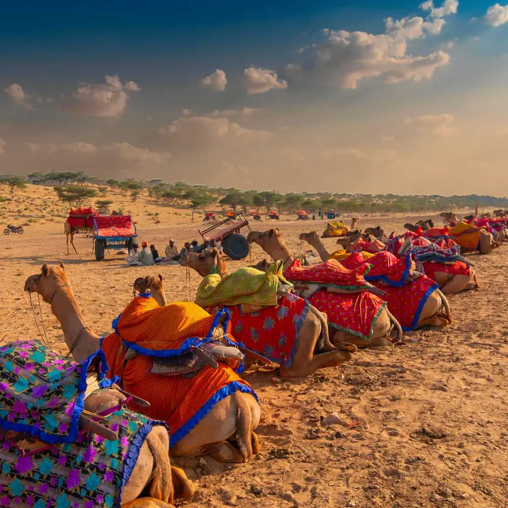 rajasthan-heritage-tour-package (4) Rajasthan Heritage Tour Package