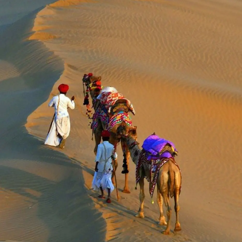 Rajasthan Private 6 Days Tour