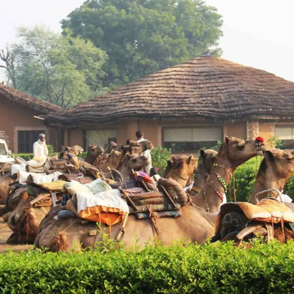 rustic-rajasthan-villages-tour (2) Rustic Rajasthan Villages Tour