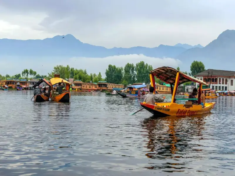 srinagar
